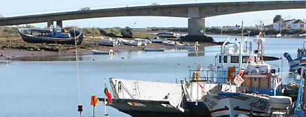 Tavira