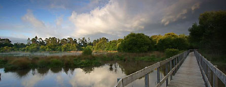 Ponte de Lima