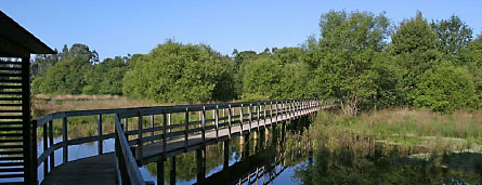 Ponte de Lima