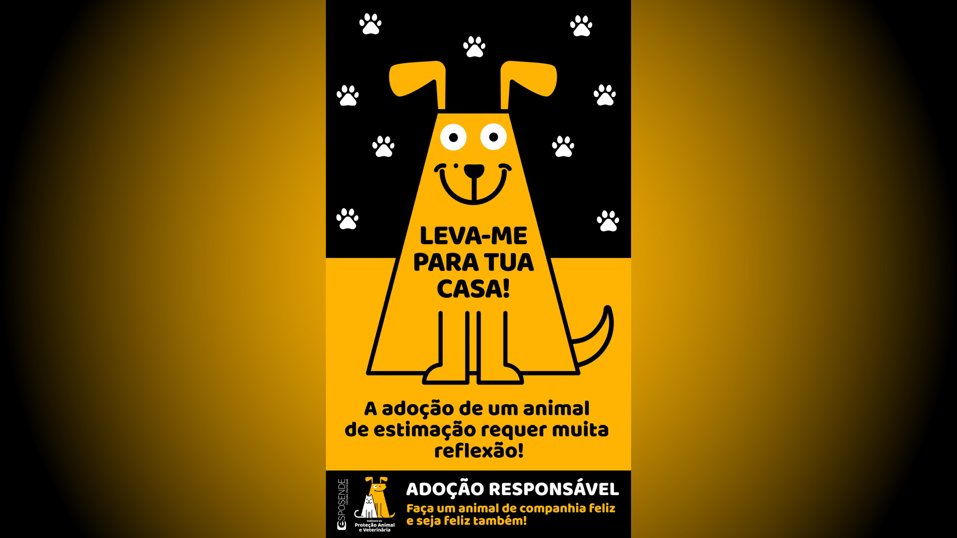 Esposende lança campanha de incentivo à adoção animal