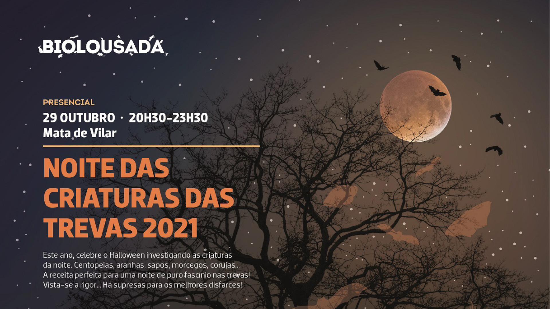 “Noite das Criaturas das Trevas”, na Mata de Vilar, a partir das 20h30