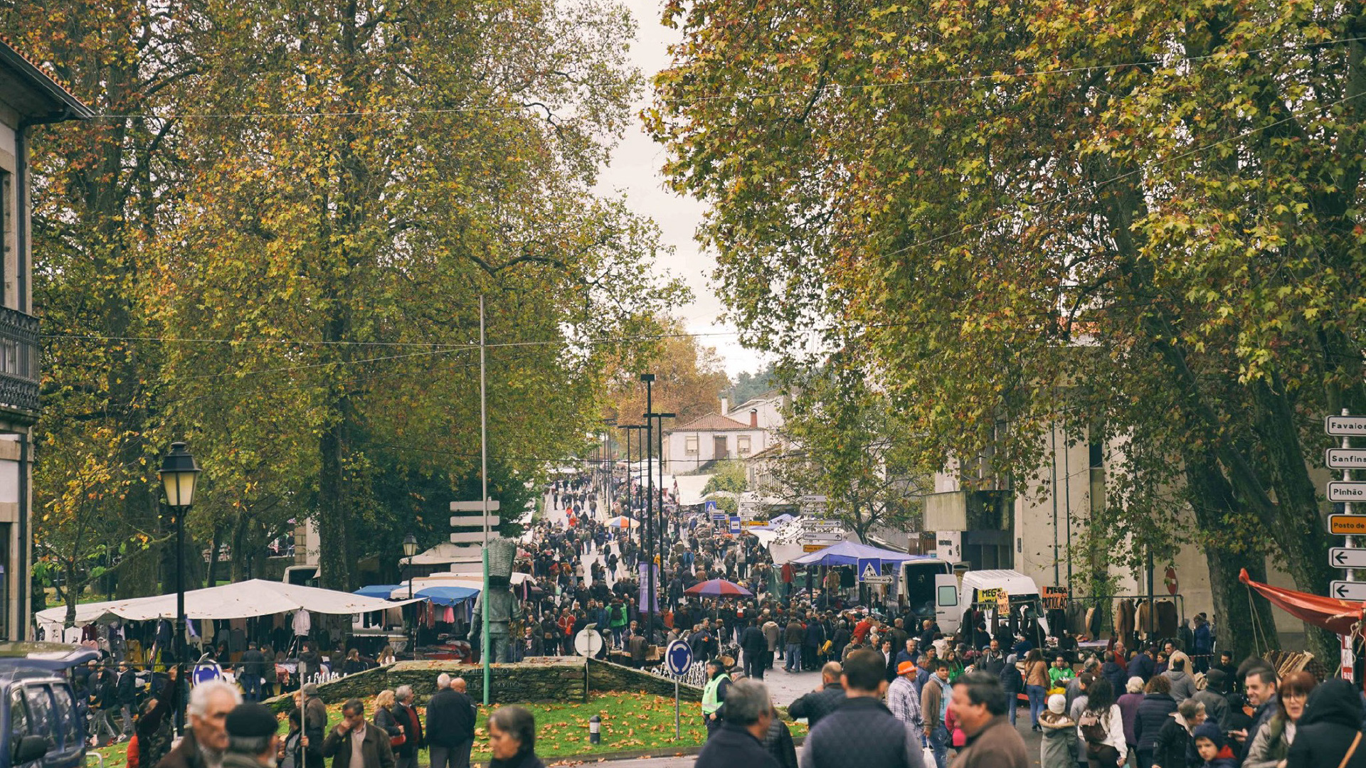 Feira de São Martinho regressa ao centro da Vila de Alijó