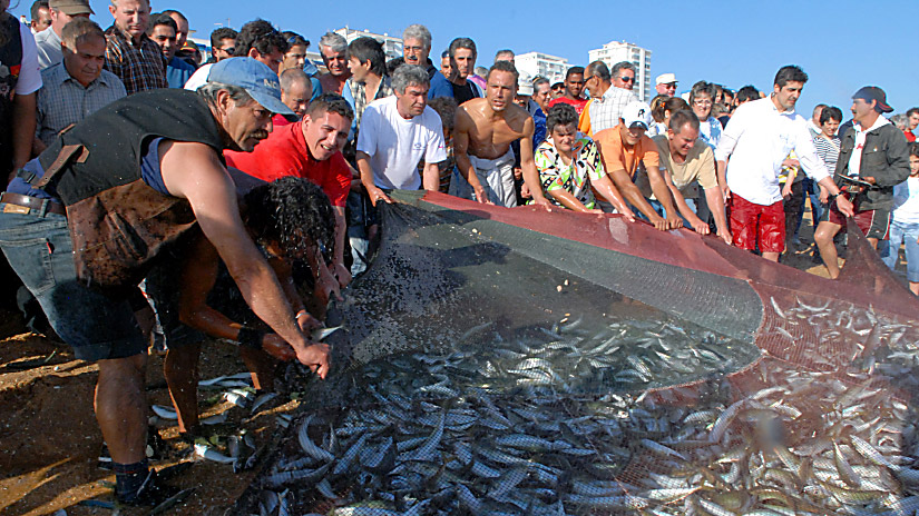 Petiscos do Pescador: Tradição e Animação na Quarteira em Junho