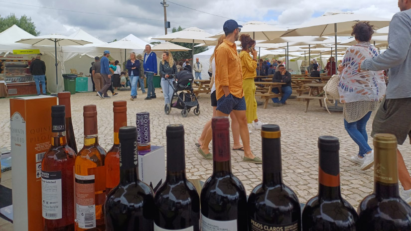 Palmela destaca-se em promoção enoturística na Quinta na Moagem