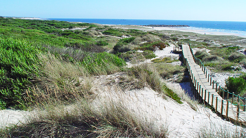 Esposende celebra o Dia Europeu dos Parques com foco no Parque Natural Litoral Norte